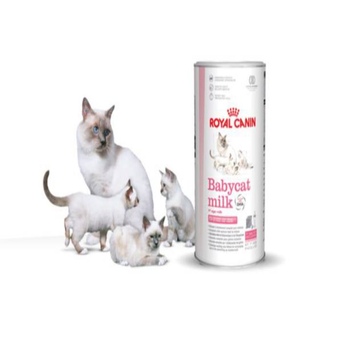 Đánh giá Royal Canin Baby Cat Milk: Có tốt cho mèo con của bạn không?