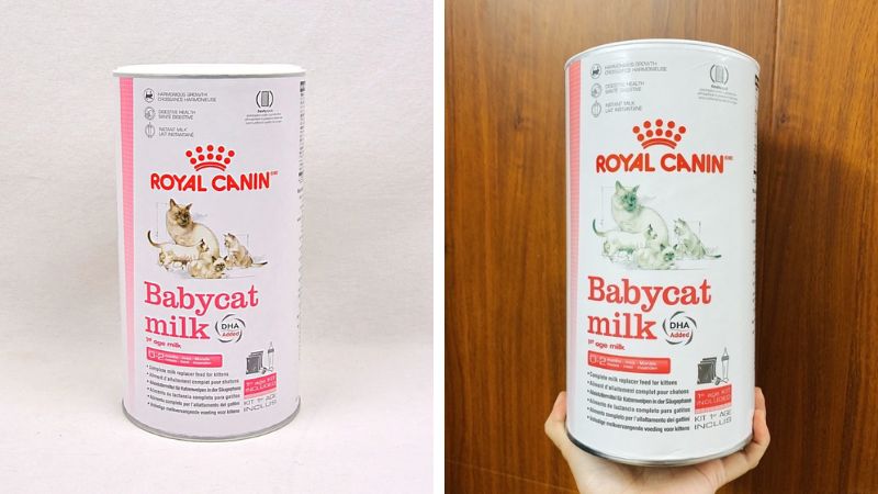 Đánh giá Royal Canin Baby Cat Milk: Có tốt cho mèo con của bạn không?