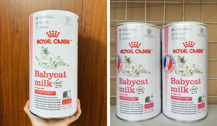 Đánh giá Royal Canin Baby Cat Milk: Có tốt cho mèo con của bạn không?