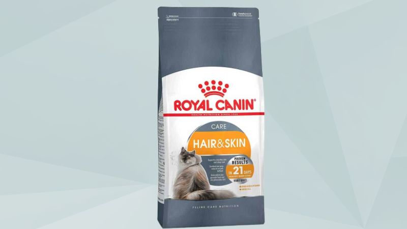 Các Loại Thức Ăn Cho Mèo Royal Canin: Tìm Hiểu Chi Tiết