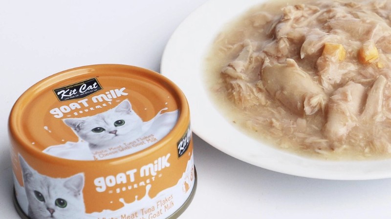 Top 10 Pate Kitcat Cao Cấp Cho Mèo Bạn Nên Biết