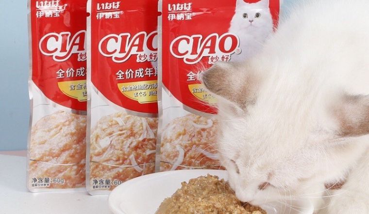 Top 4 Pate Cho Mèo Ciao: Hương Vị Thơm Ngon, Dinh Dưỡng Đa Dạng