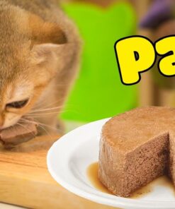 Cat Pate